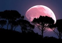 Il disco lunare "colorato" sarà ben visibile dal 19 Aprile quando il satellite ha raggiunto la sua minima distanza dalla Terra. Lo spettacolo celeste fino a lunedì sera