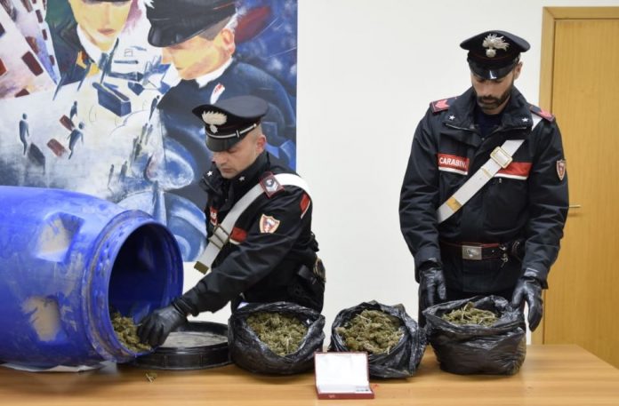 marijuana crotone