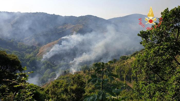 Incendio vicino ad area Parco Biodiversità Catanzaro
