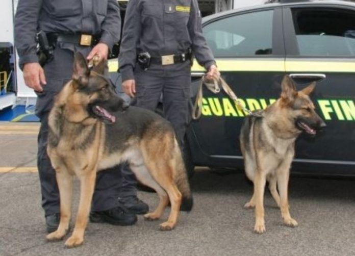 finanza cinofili cani antidroga