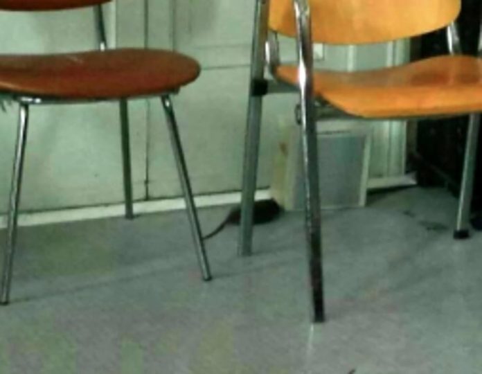 topi scuola