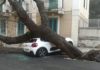 Maltempo, cade albero a Jesolo: morto un militare. Piogge intense in altre zone
