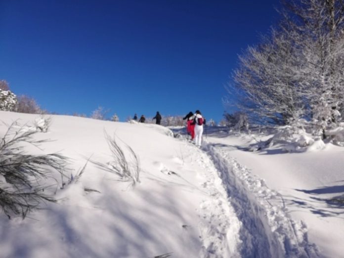 Neve in Sila