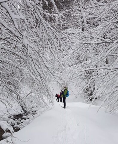 Neve in Sila
