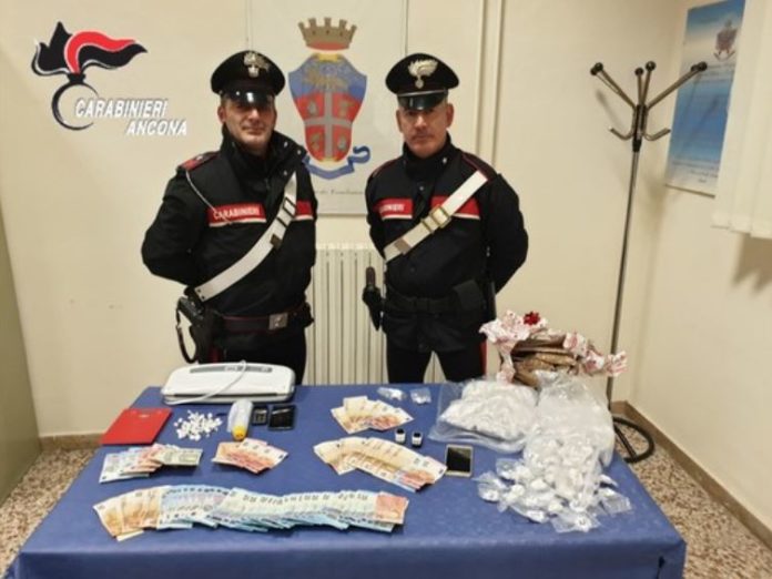 cocaina Jesi Ancona