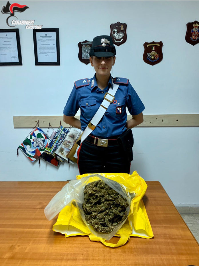 droga marijuana isola