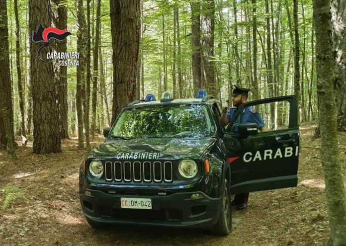 carabinieri camigliatello silano