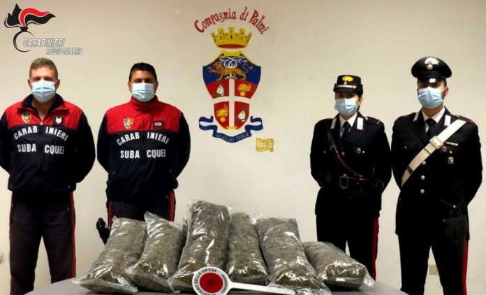 carabinieri palmi marijuana