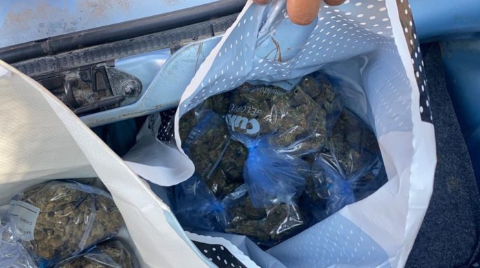 marijuana2 kr