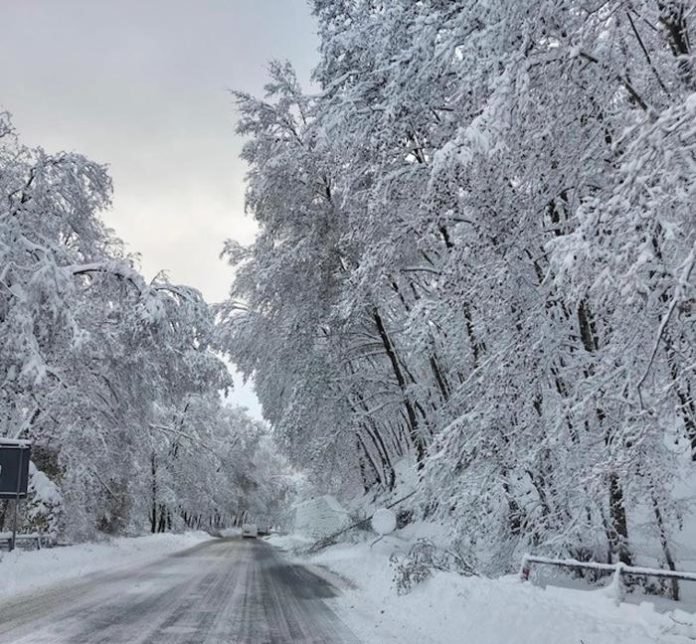 Maltempo: abbondante nevicata in Sila