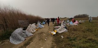 Naufragio a Cutro, 65 vittime. Superstiti: “Scafista ha impedito di lanciare SOS”