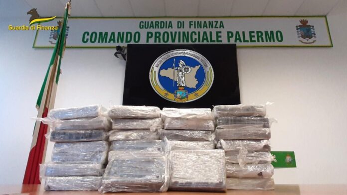 cocaina palermo calabria_23l