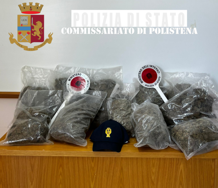 marijuana polistena_2sg