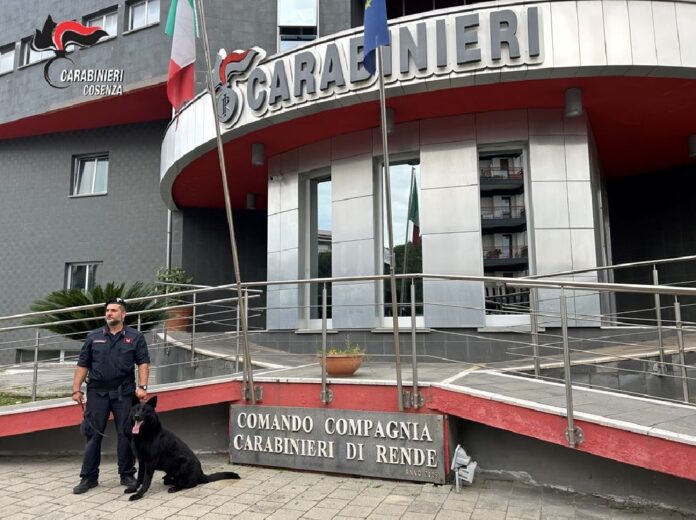 carabinieri rende cane antidroga