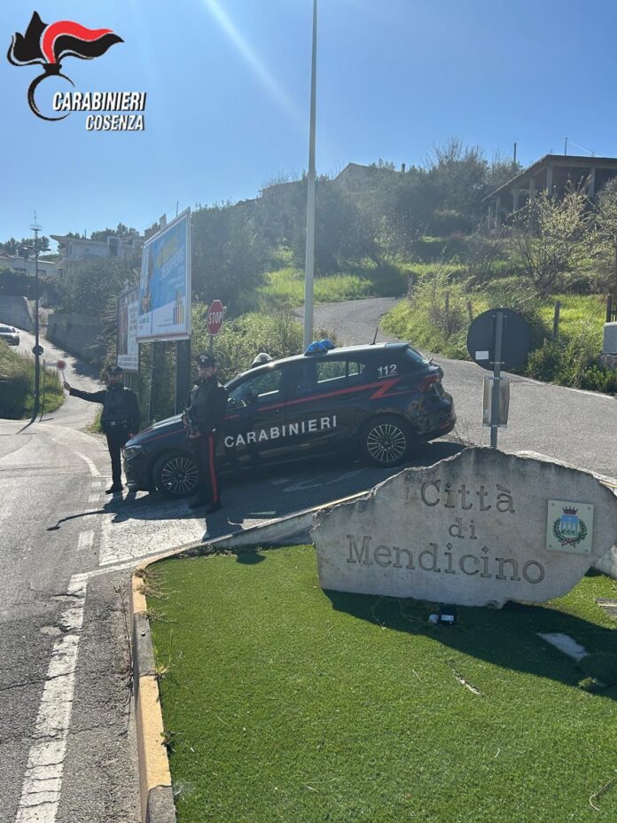 Carabinieri Mendicino_1g4