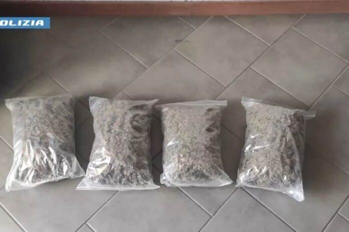 marijuana sequestrata polizia_s6h