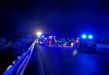 Si ferma a prestare soccorso a una donna ma viene travolto e ucciso