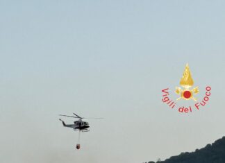 Calabria nella morsa del caldo e degli incendi, diversi interventi dei pompieri