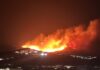Piromani in azione in Calabria, vasti incendi nei boschi. Accerchiati anche i centri abitati