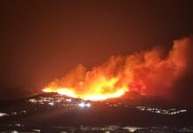 Piromani in azione in Calabria, vasti incendi nei boschi. Accerchiati anche i centri abitati
