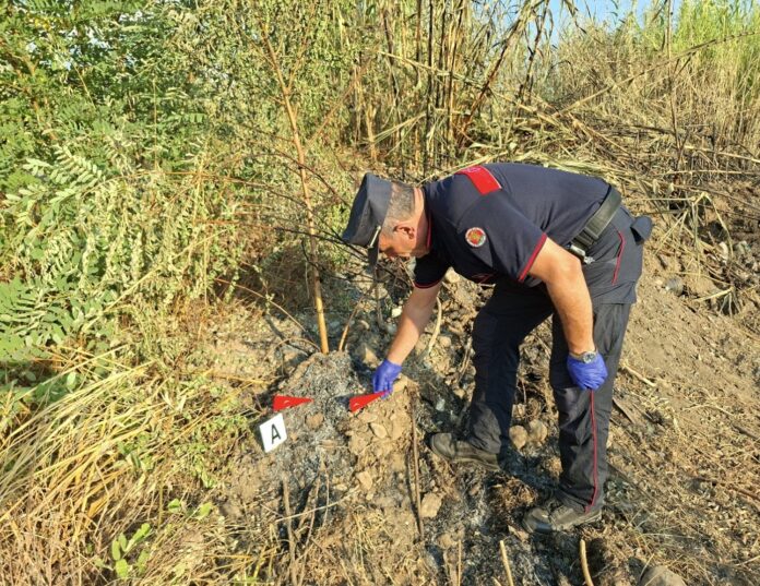 Incendio boschivo doloso