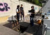 Carburante caro e “annacquato”, blitz della Gdf. Sequestrate 10 ton. Una stazione su 5 è irregolare