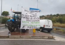Emergenza carburante a Cosenza, assalto alle stazioni. Scorte esaurite e incognite