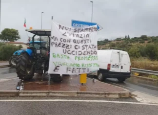 Emergenza carburante a Cosenza, assalto alle stazioni. Scorte esaurite e incognite