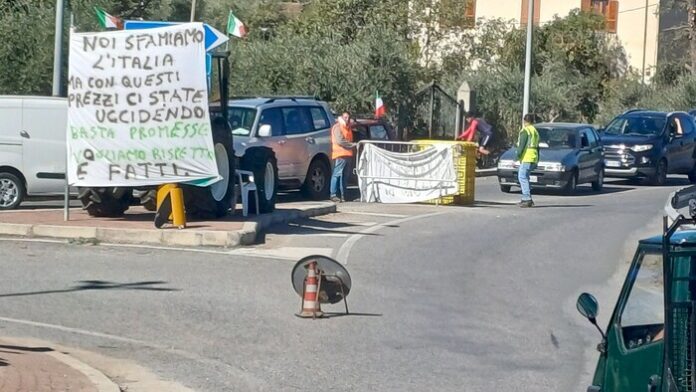 proteste caro carburante